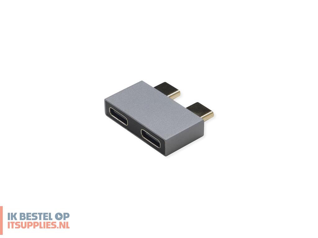 4810968-roline_12032945_tussenstuk_voor_kabels_2x_usb_type_c_zilver