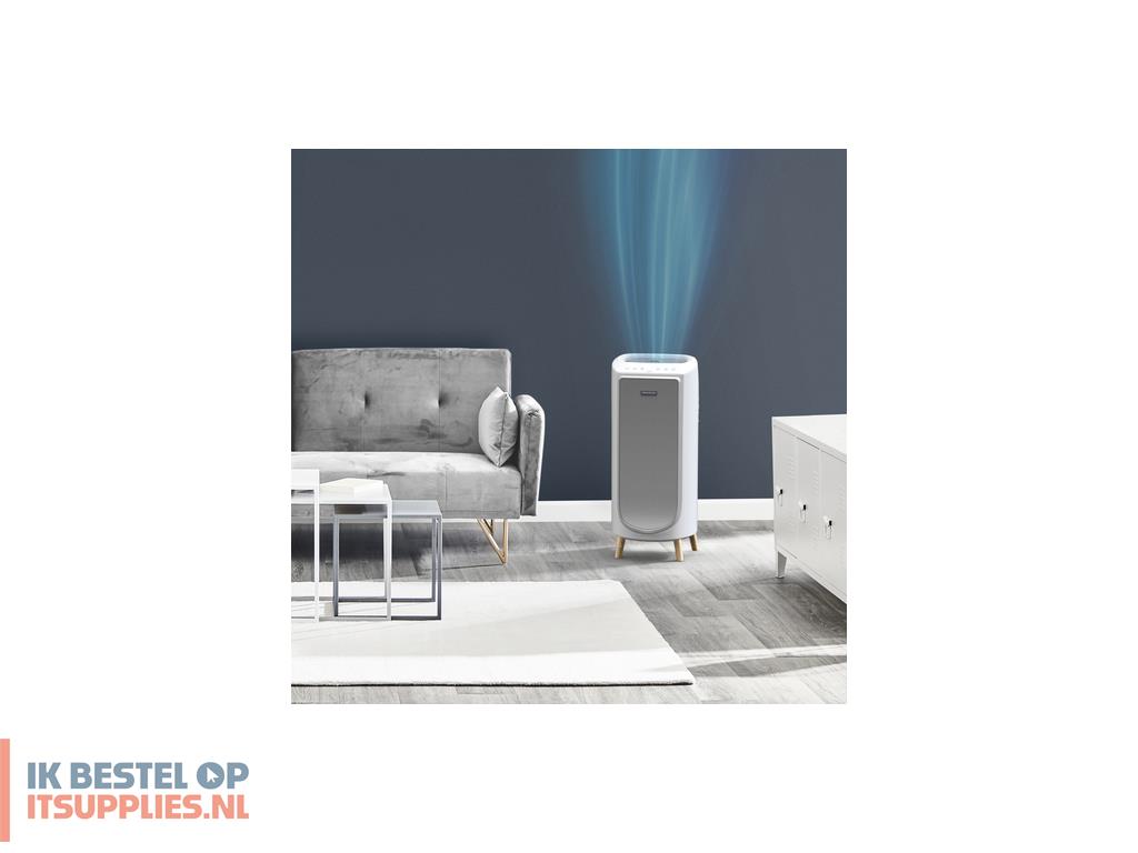 4607950-rowenta_intense_pure_air_home_pu6180_36_m2_52_db_60_w_wit-_grijs