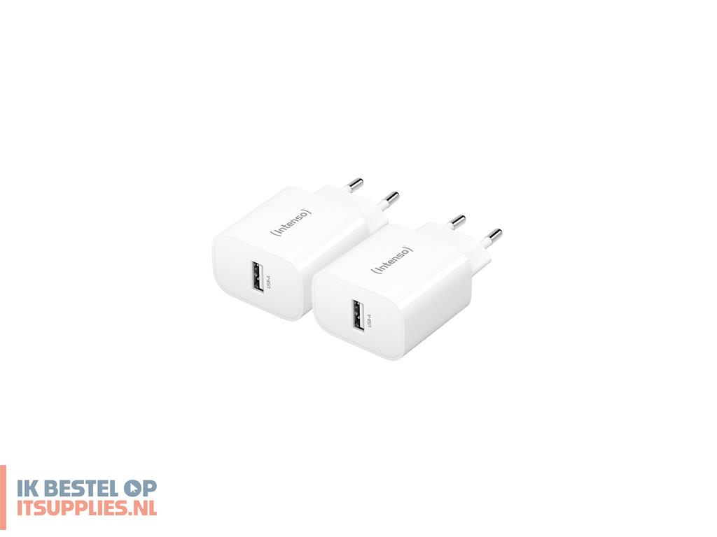 4524442-intenso_7800522_netvoeding_inverter_binnen_5_w_wit