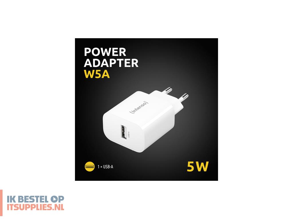 4527590-intenso_7800522_netvoeding_inverter_binnen_5_w_wit