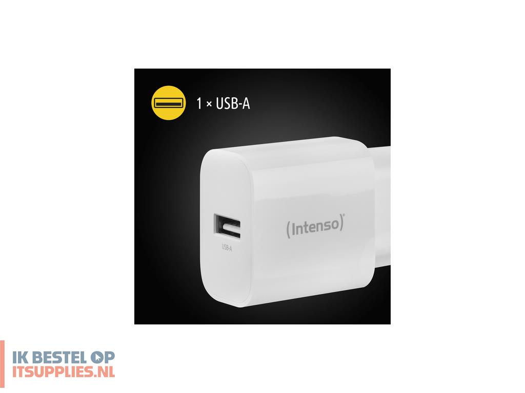 4531086-intenso_7800522_netvoeding_inverter_binnen_5_w_wit