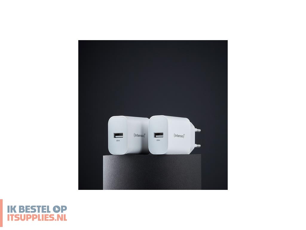 4546238-intenso_7800522_netvoeding_inverter_binnen_5_w_wit