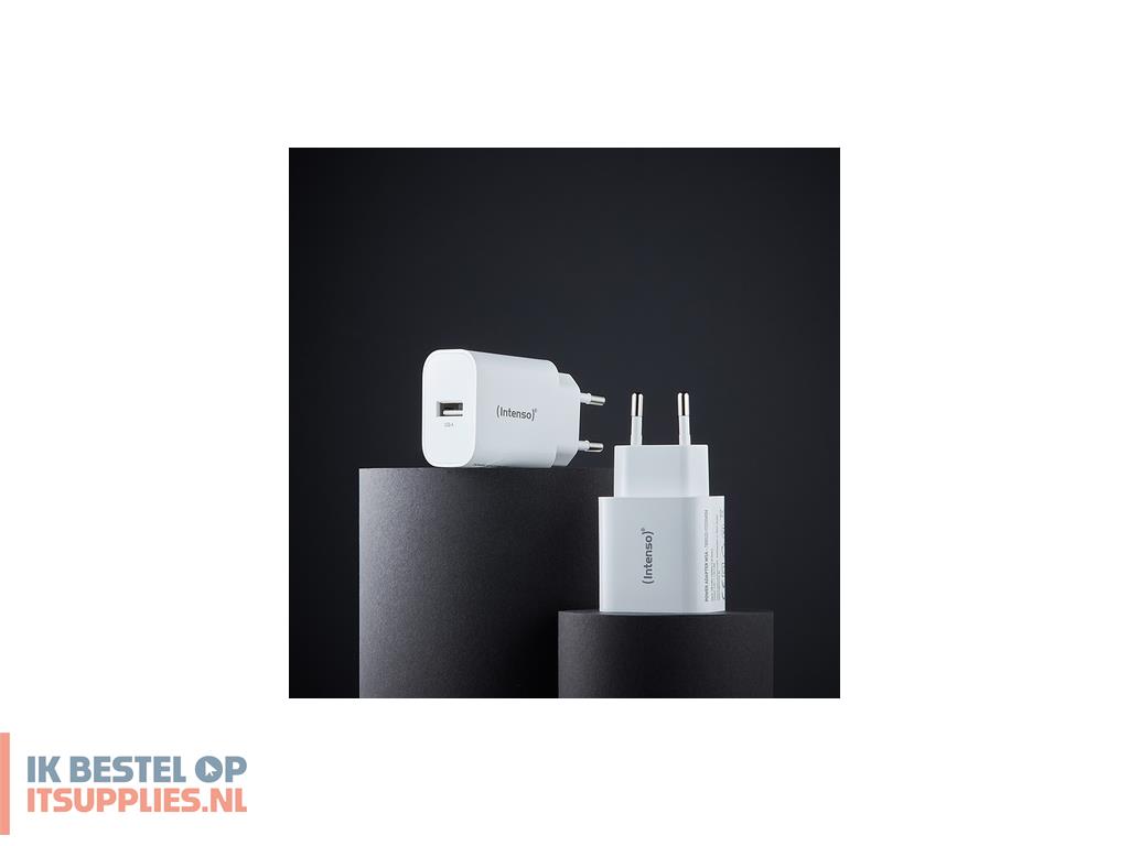 4557000-intenso_7800522_netvoeding_inverter_binnen_5_w_wit
