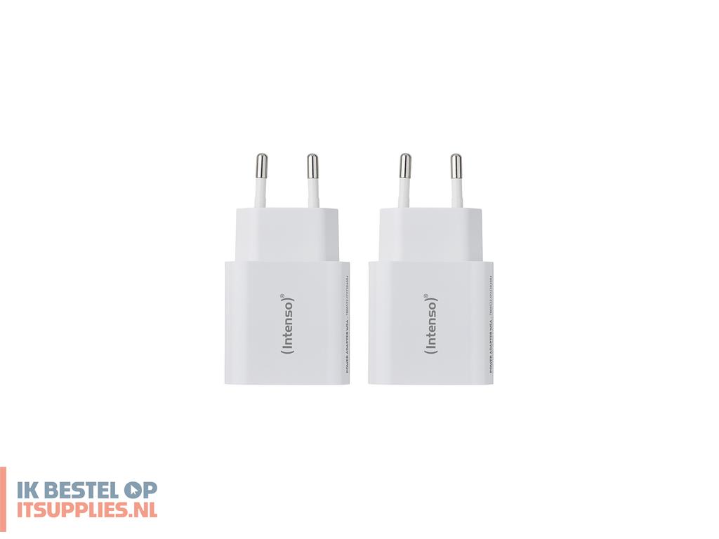 4612659-intenso_7800522_netvoeding_inverter_binnen_5_w_wit