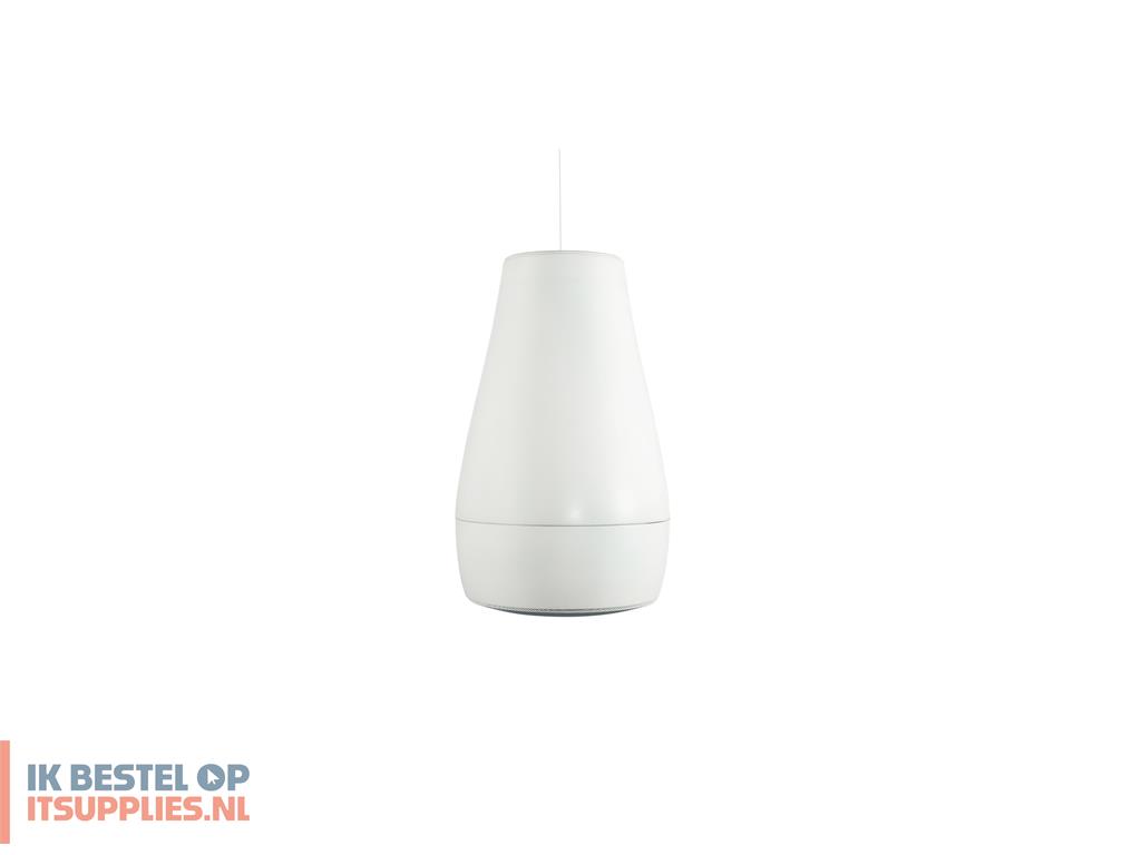 4609323-biamp_desono_p6_2-weg_wit_bedraad_60_w