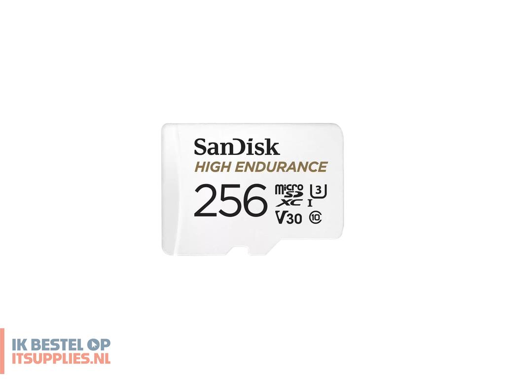 4922504-sandisk_high_endurance_256_gb_microsdxc_uhs-i_klasse_10
