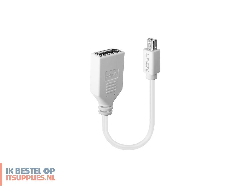 0240807-lindy_41021_displayport_kabel_0-15_m_mini_displayport_wit