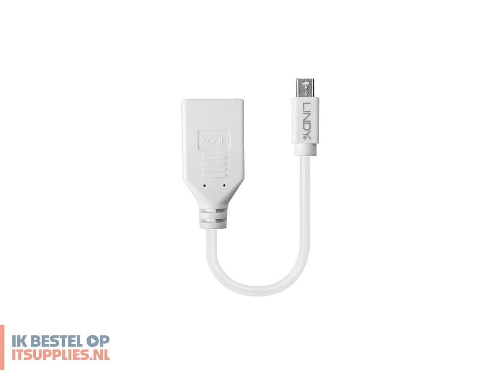 0243472-lindy_41021_displayport_kabel_0-15_m_mini_displayport_wit