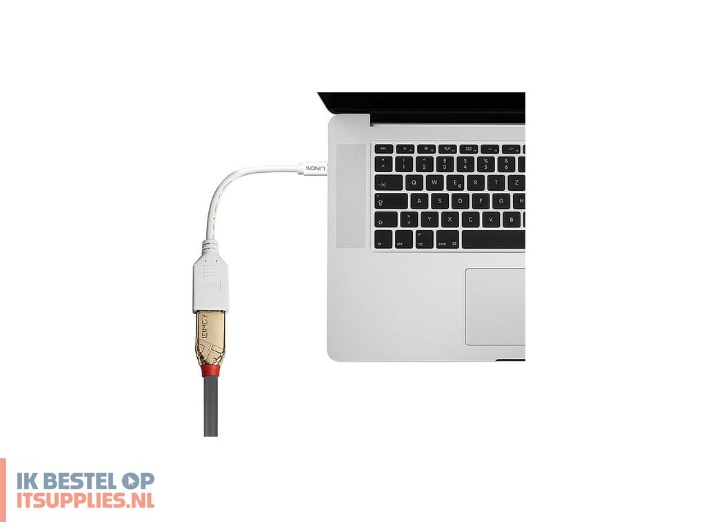0246395-lindy_41021_displayport_kabel_0-15_m_mini_displayport_wit