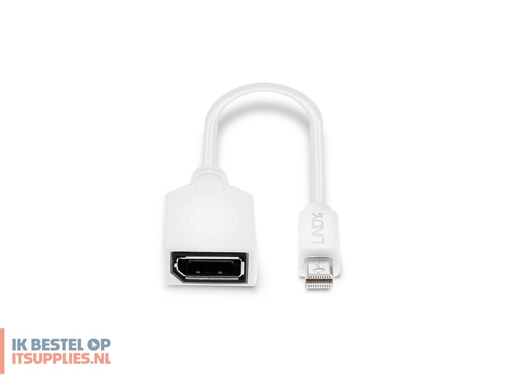 0248754-lindy_41021_displayport_kabel_0-15_m_mini_displayport_wit