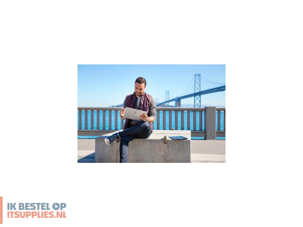 0130402-hp_tilt_pen_stylus-pen_14-5_g_zilver