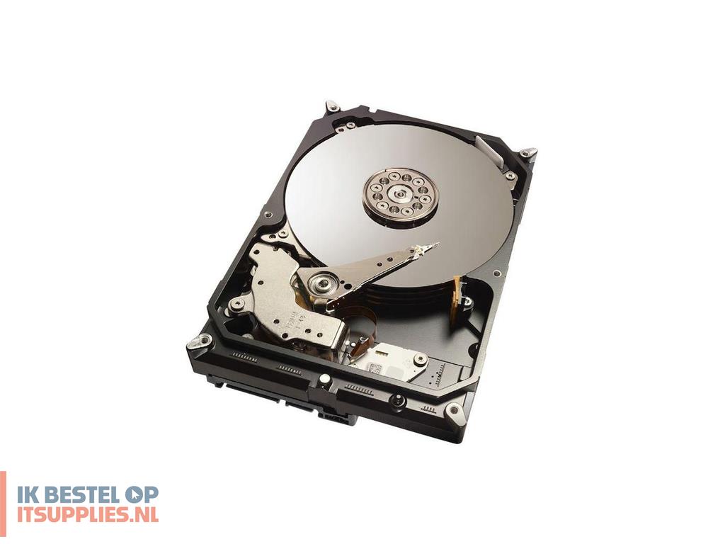 1648524-coreparts_sa300005i404_interne_harde_schijf_300_gb