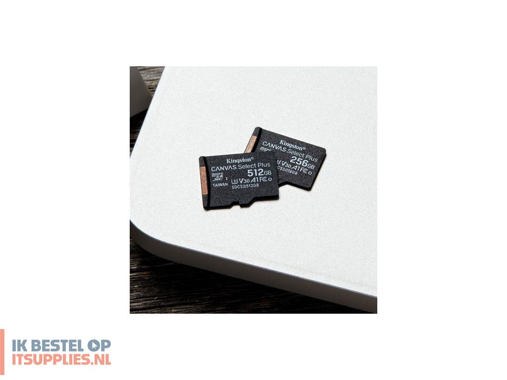 0143217-kingston_technology_canvas_select_plus_sdxc_uhs-i_klasse_10