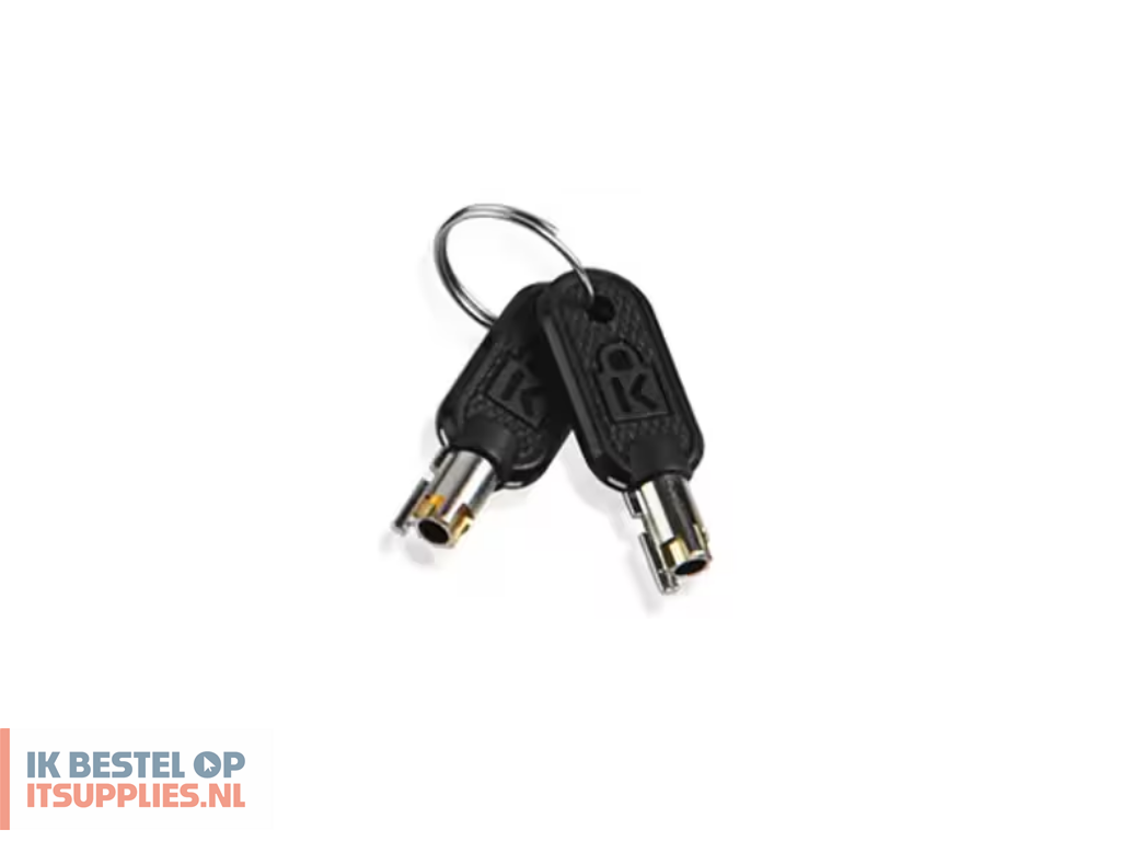 0732589-lenovo_4z10p40249_accessoire_voor_kabelsloten_sleutel_grijs