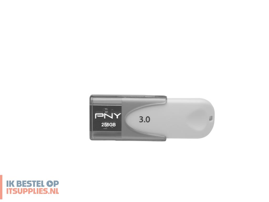 1611307-pny_attache_4_usb_flash_drive_256_gb_usb_type-a_32_gen_1_31_gen_1_grijs-_wit