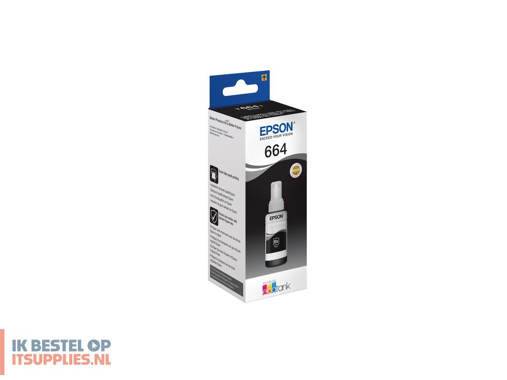 0626979-epson_t6641_origineel