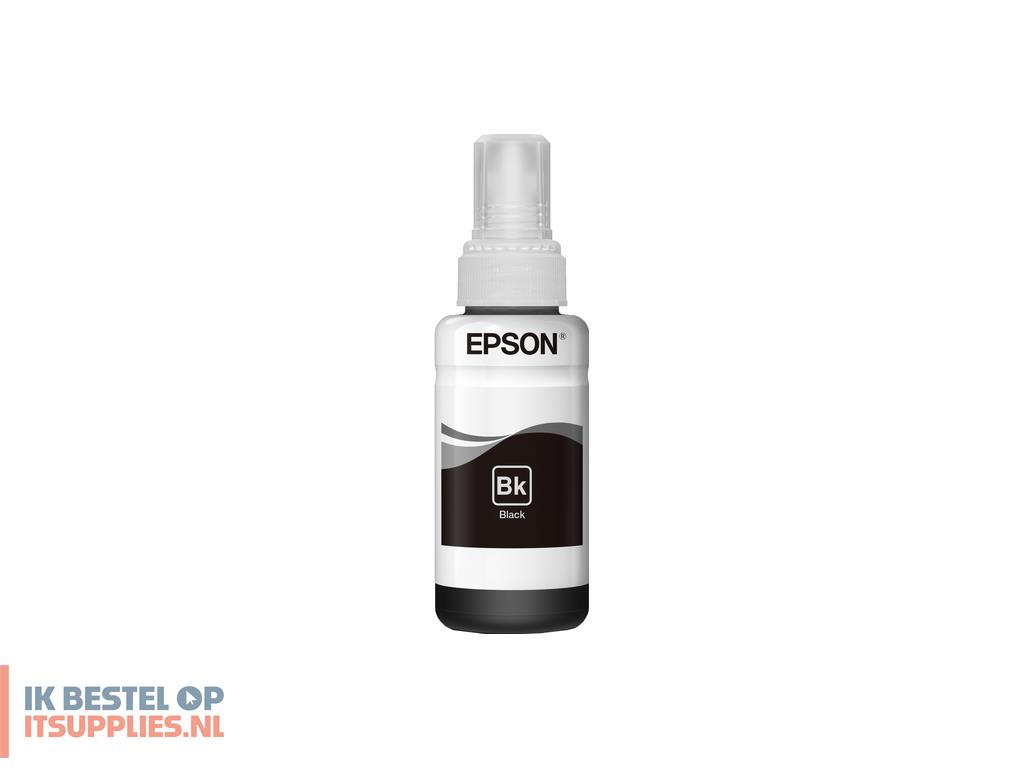 0630324-epson_t6641_origineel