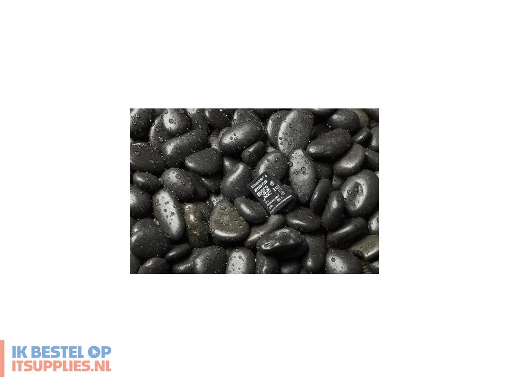 1624062-kingston_technology_canvas_select_64_gb_microsdxc_uhs-i_klasse_10
