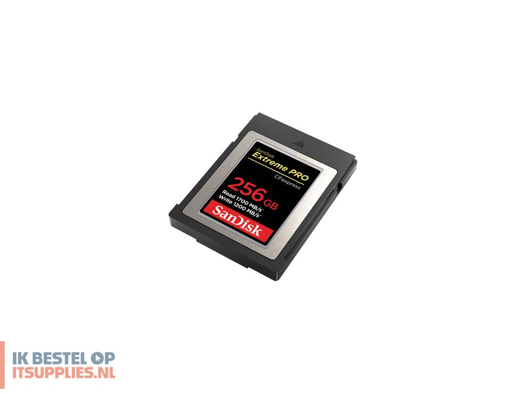 0919033-sandisk_sdcfe-256g-gn4nn_flashgeheugen_256_gb_cfexpress