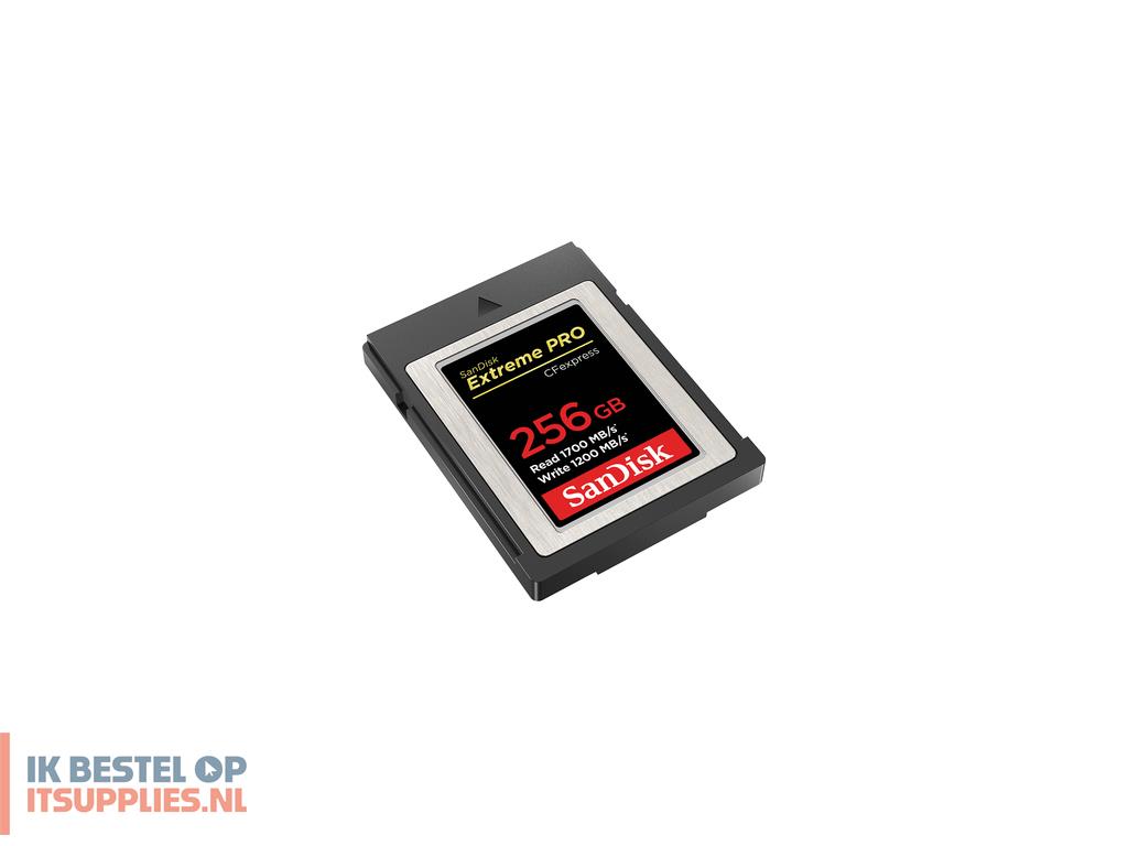 0923058-sandisk_sdcfe-256g-gn4nn_flashgeheugen_256_gb_cfexpress