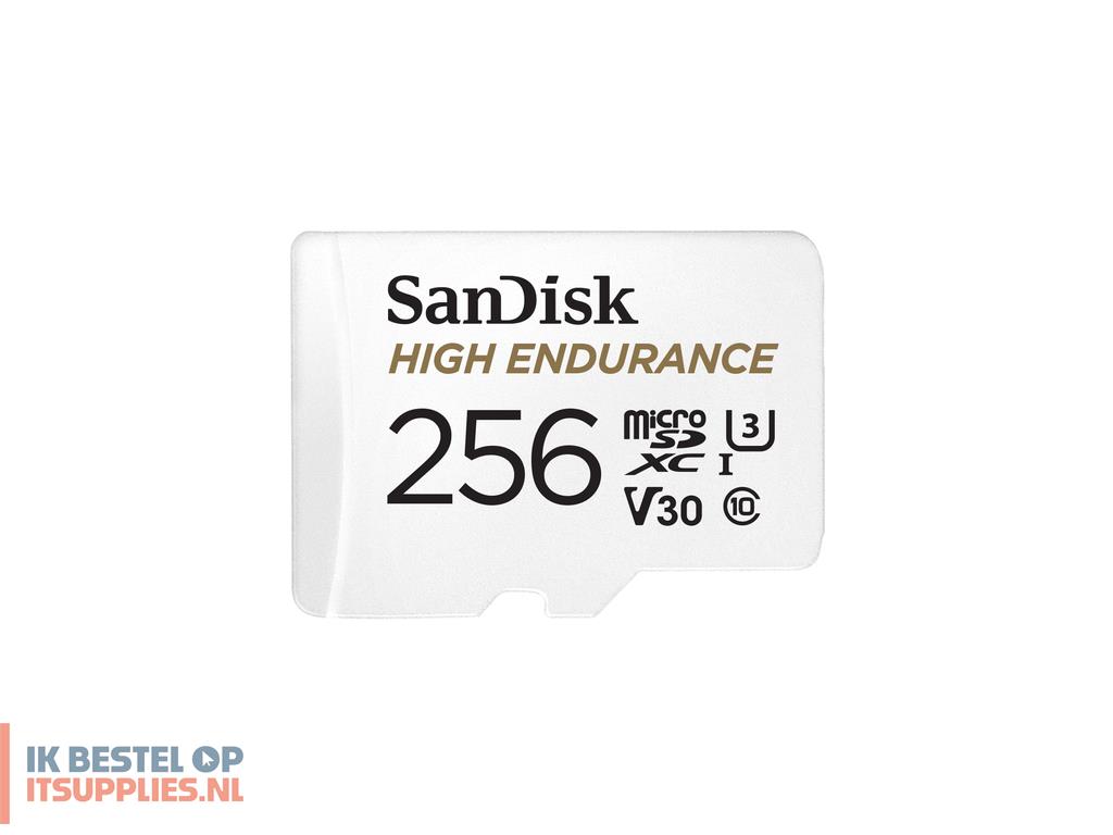 5206100-sandisk_high_endurance_256_gb_microsdxc_uhs-i_klasse_10