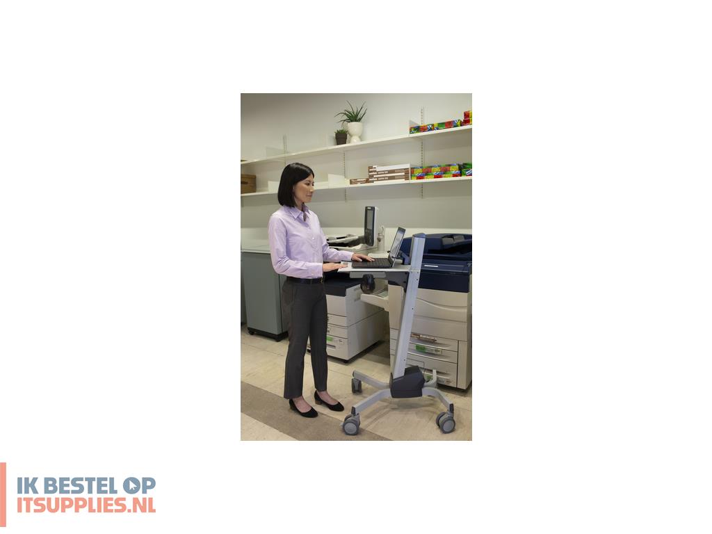 5709433-ergotron_neo-flex_laptop_cart_grijs_multimediawagentjetrolley