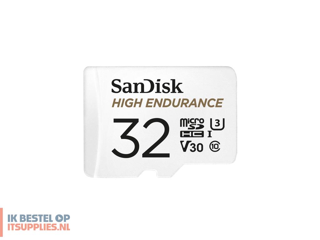 0731253-sandisk_high_endurance_32_gb_microsdhc_uhs-i_klasse_10