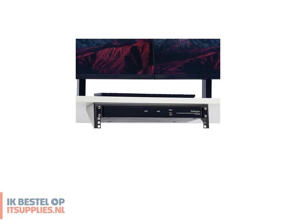 0057473-startechcom_rk219wallv_rack_wandrek_zwart