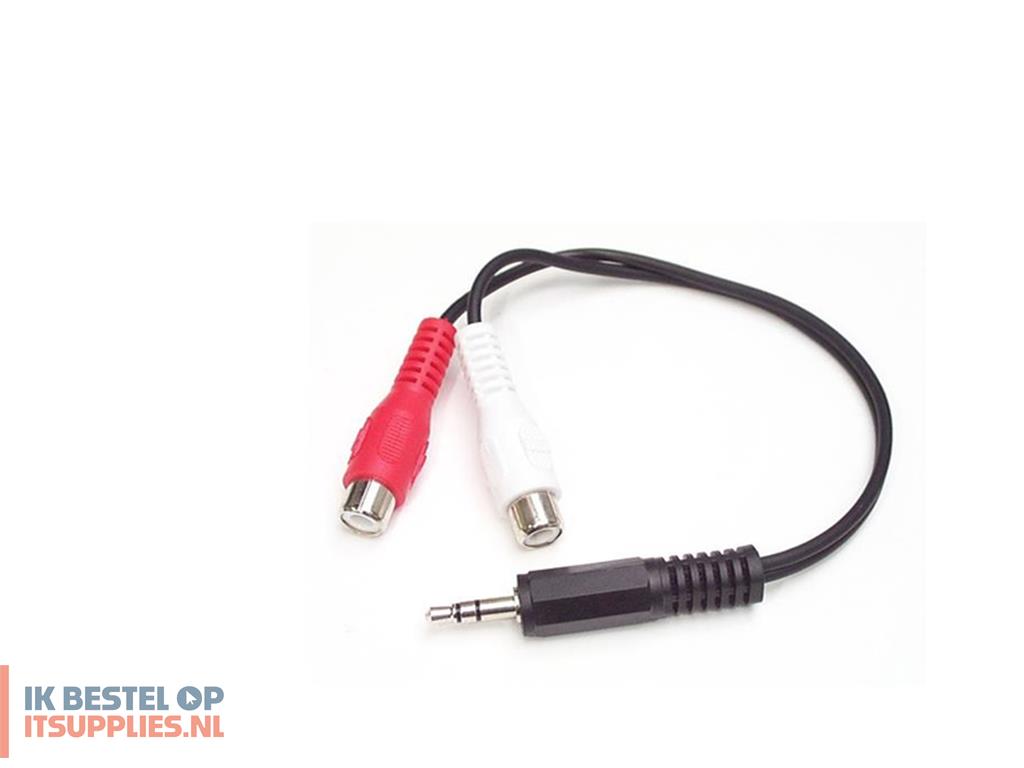 0808638-startechcom_mumfrca_audio_kabel_0-15_m_35mm_2_x_rca_zwart