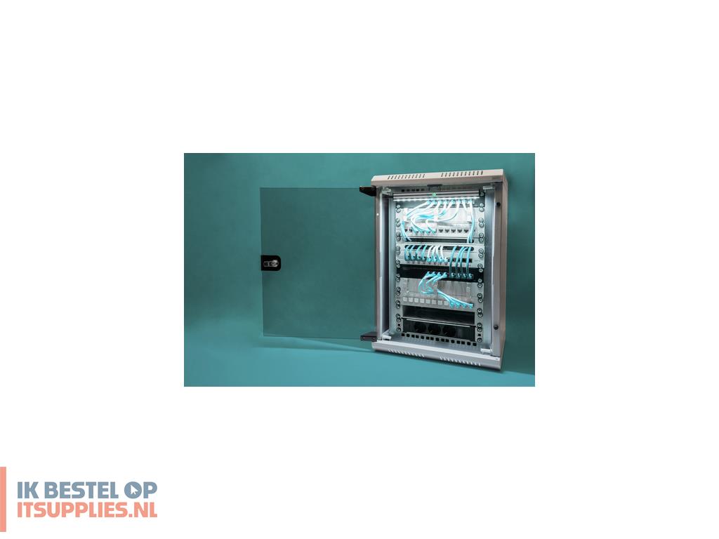 0909116-digitus_dn-1019_rack_10u_wandrek_grijs