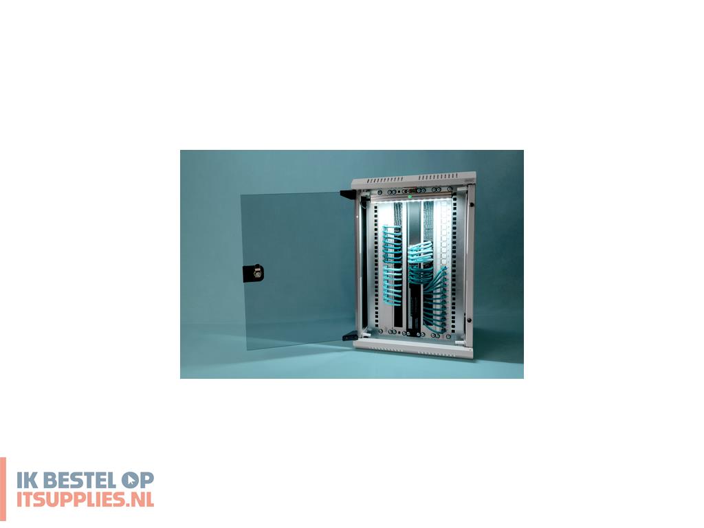 0910563-digitus_dn-1019_rack_10u_wandrek_grijs