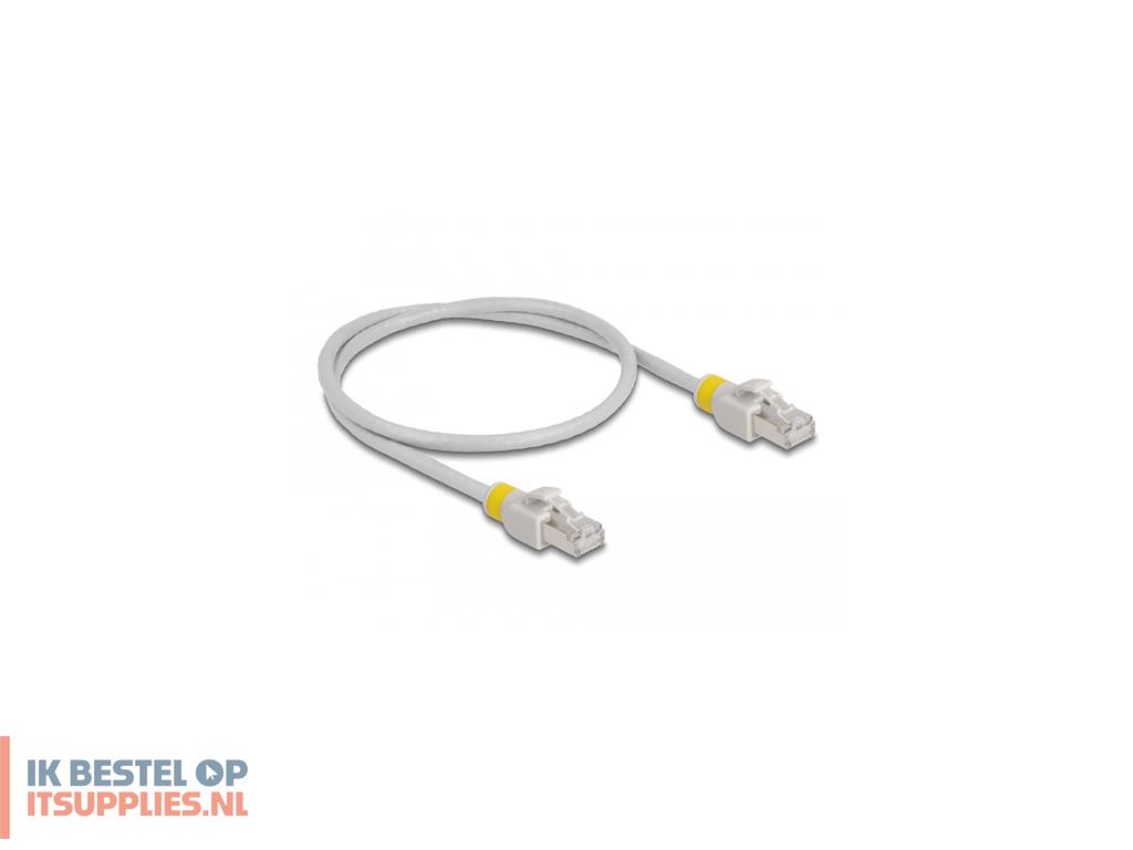 4819755-delock_80117_netwerkkabel_grijs_0-5_m_cat6a_sftp_s-stp