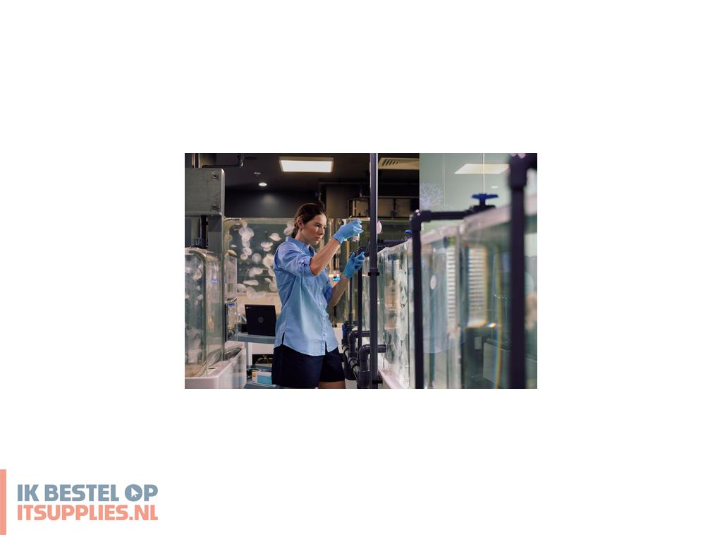 4036609-hp_chromebook_fortis_14_inch_g10_intel_pentium_silver_n6000_35-6_cm_14_touchscreen_full_hd_8_gb