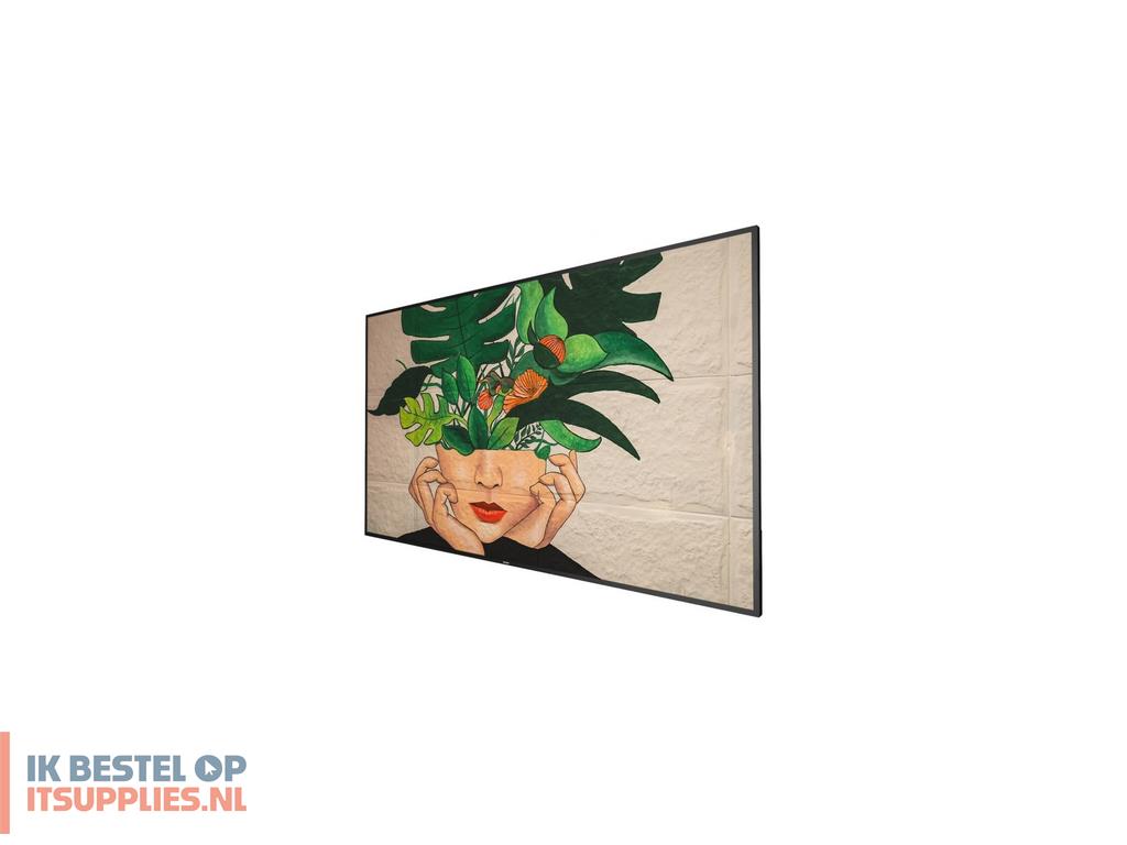 4156639-philips_65bdl4511d00_beeldkrant_digitaal_a-kaart_165-1_cm_65_500_cdm²_4k_ultra_hd_zwart_247