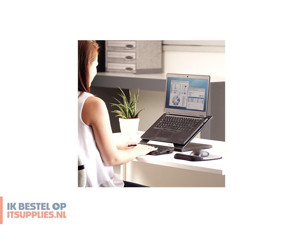 0429836-fellowes_designer_suites_zwart_43-2_cm_17