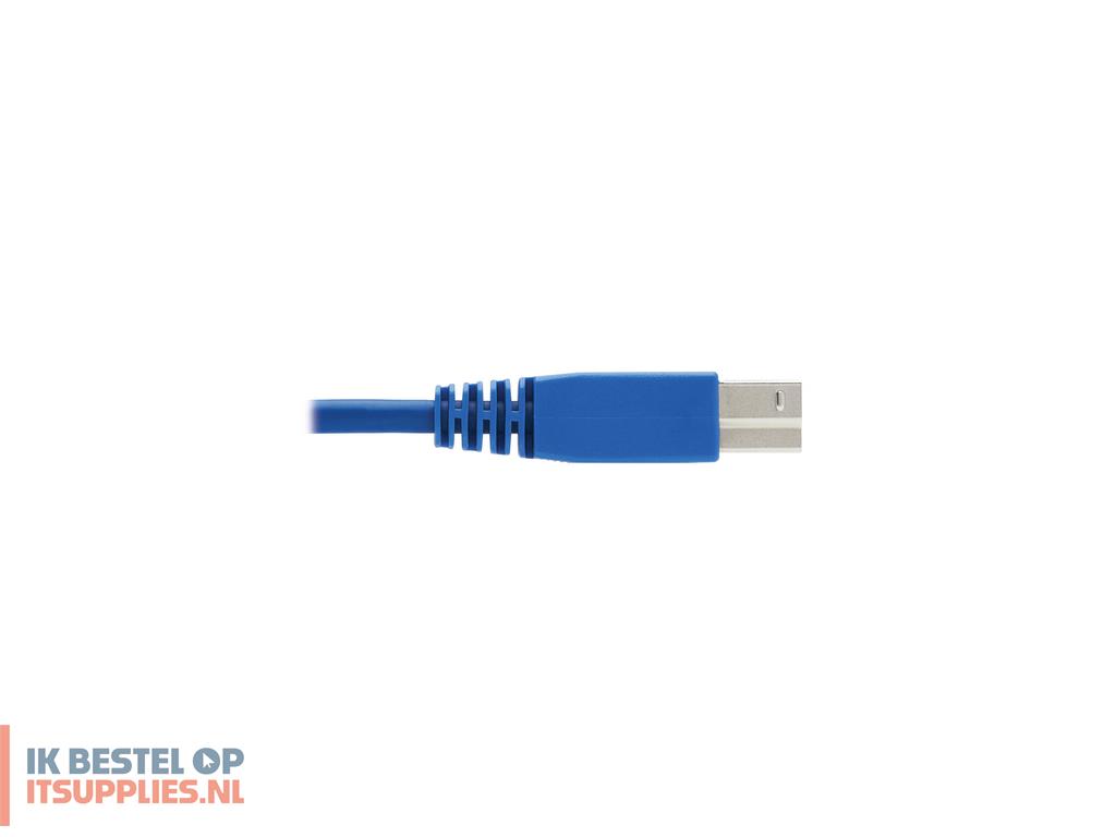 4640952-tripp_lite_p785-hkit06_toetsenbord-video-muis_kvm_kabel_zwart-_blauw-_grijs_1-8_m