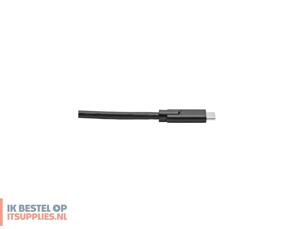 2232099-tripp_lite_u420-010_usb-kabel_usb_32_gen_1_31_gen_1_3-05_m_usb_c_zwart