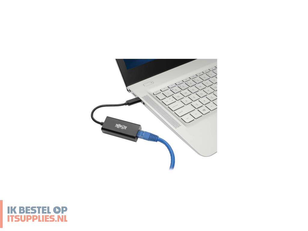 3203336-tripp_lite_u436-06n-gb_interfacekaart-adapter