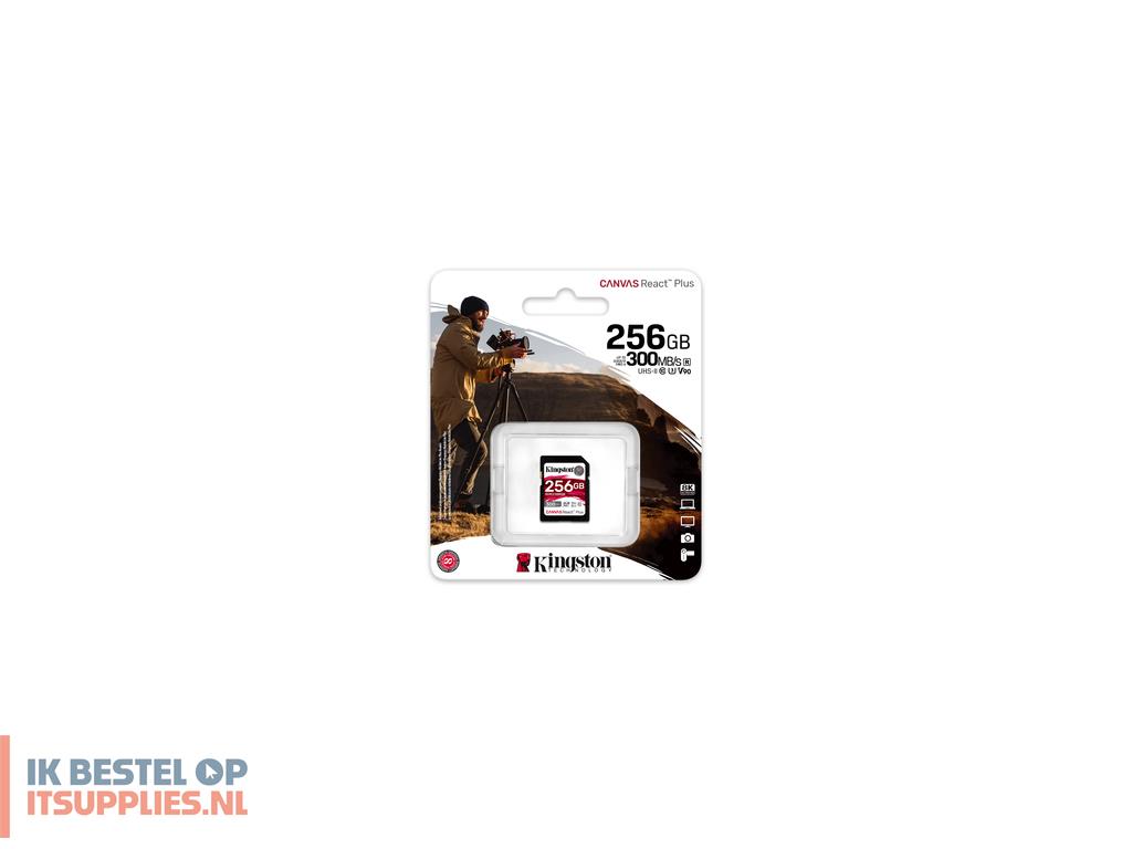 3546510-kingston_technology_canvas_react_plus_sd_klasse_10