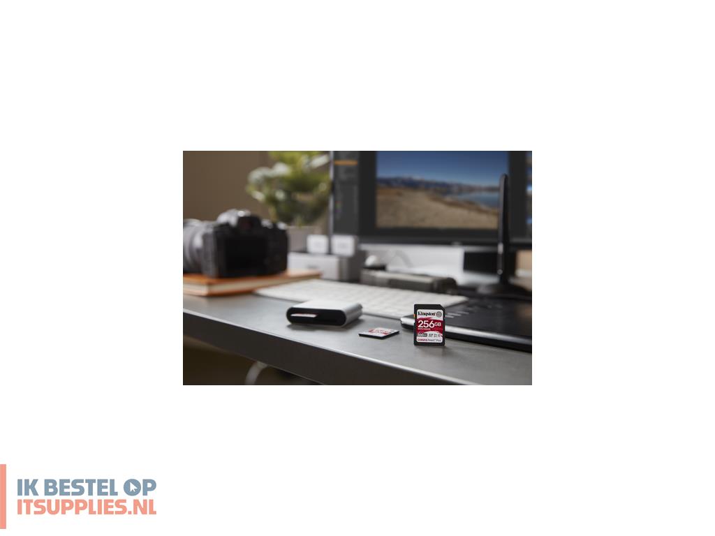 3556867-kingston_technology_canvas_react_plus_sd_klasse_10