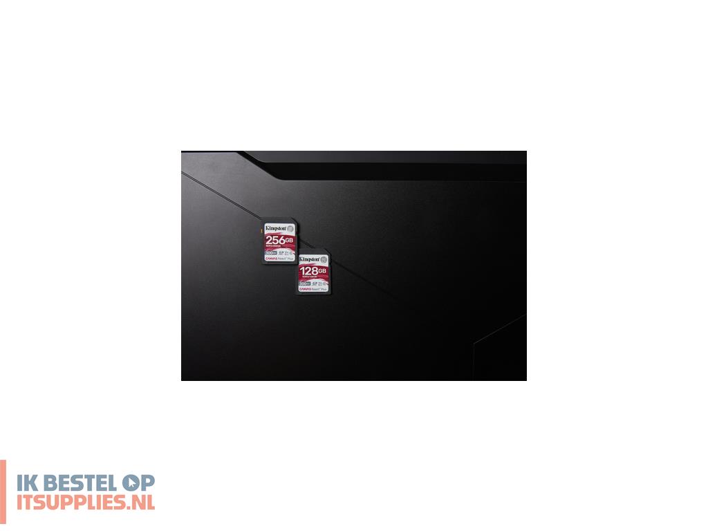 3558358-kingston_technology_canvas_react_plus_sd_klasse_10