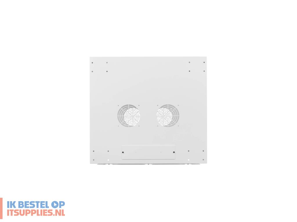 3117294-tripp_lite_srw9udpw_rack_9u_wandrek_wit