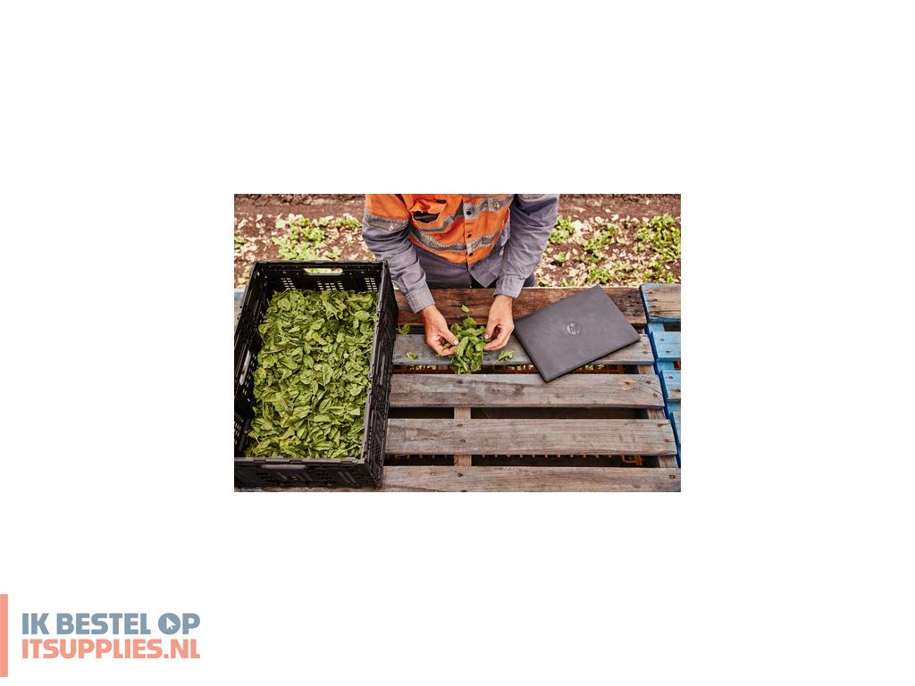 0246267-hp_probook_fortis_14_inch_g9_intel_pentium_silver_n6000_laptop_35-6_cm_14_full_hd_8_gb_ddr4-sdram_128_gb