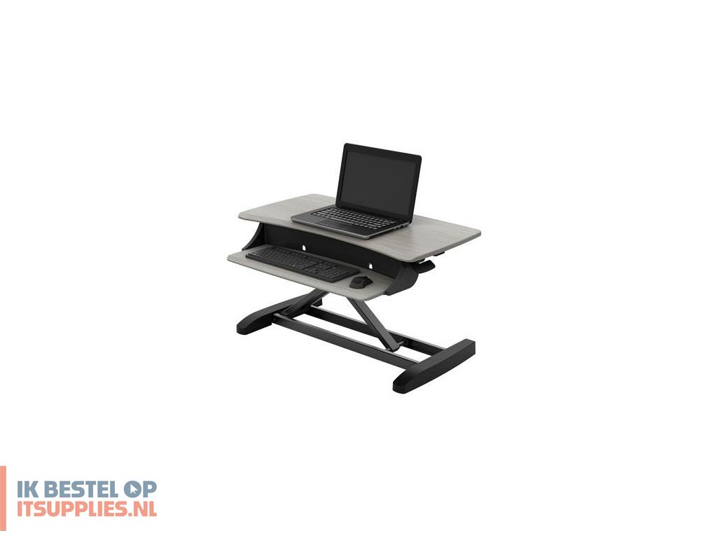 5107369-ergotron_workfit-z_mini