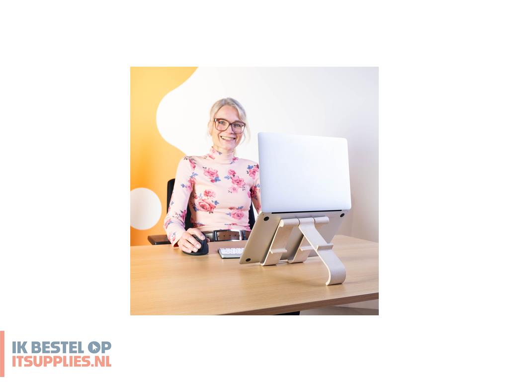 1727370-r-go_tools_rgotpw_laptopstandaard_wit_55-9_cm_22