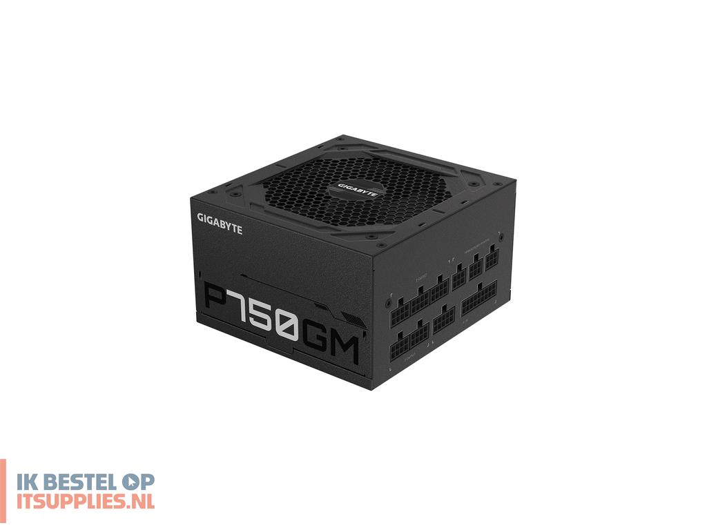 0048407-gigabyte_p750gm_power_supply_unit_750_w_204_pin_atx_atx_zwart