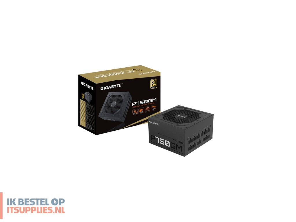 0100305-gigabyte_p750gm_power_supply_unit_750_w_204_pin_atx_atx_zwart
