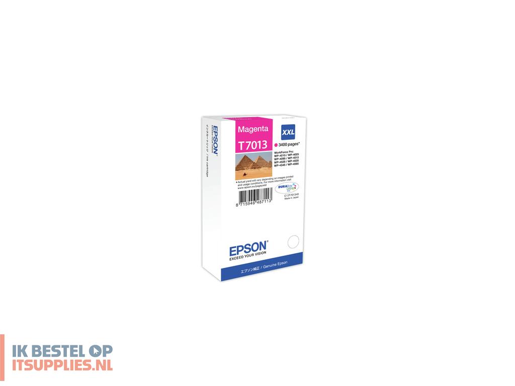 2207851-epson_t7013_inktcartridge_1_stuks_origineel