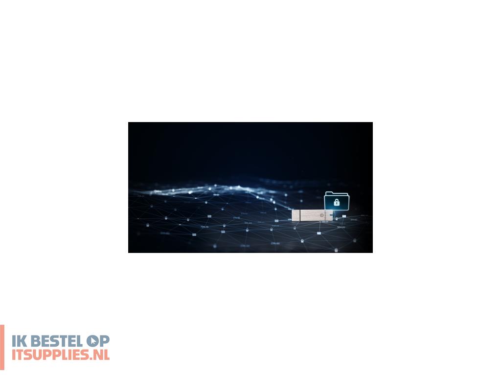 4844981-kingston_technology_ironkey_s1000_usb_flash_drive_usb_type-a_32_gen_1_31_gen_1_zilver