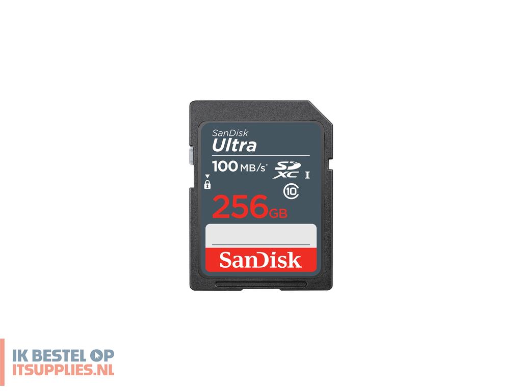 4513292-sandisk_ultra_256_gb_sdxc_uhs-i_klasse_10